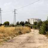 Fino ad arrivare all�imbocco di un viottolo sterrato. Lo percorriamo immergendoci nell�aperta campagna ascoltando il frinire di cicale e costeggiando alberi di ulivo e fichi d�india